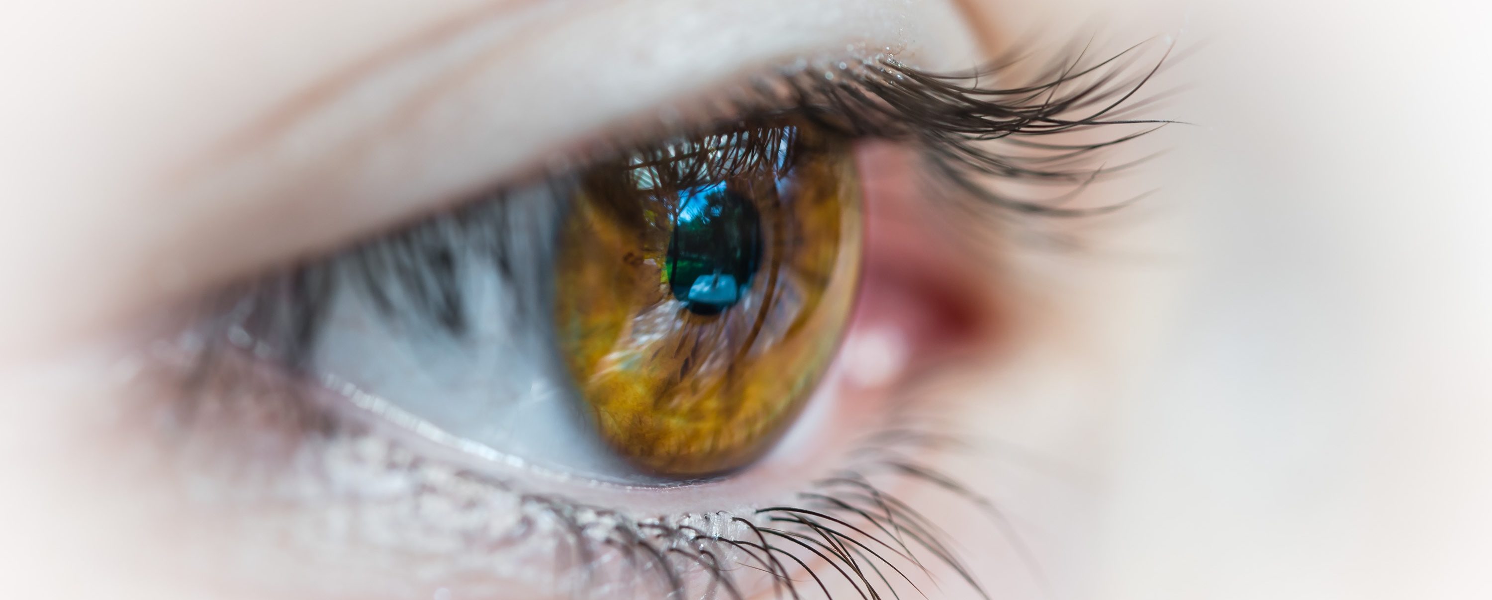 Eye