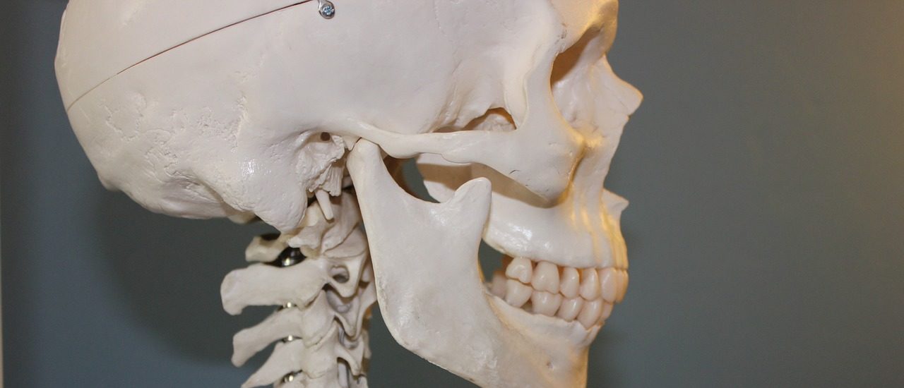 skull-778075_1280